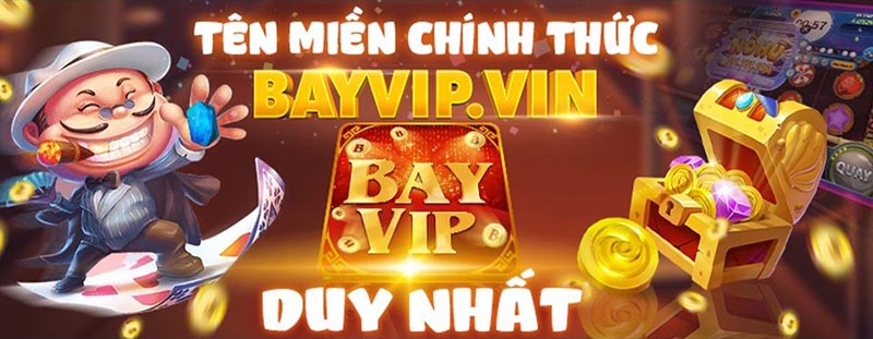 bayVIP Vin